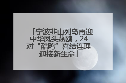 宁波韭山列岛再迎中华凤头燕鸥，24对“酷鸥”喜结连理迎接新生命