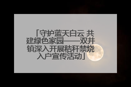 守护蓝天白云 共建绿色家园——双井镇深入开展秸秆禁烧入户宣传活动