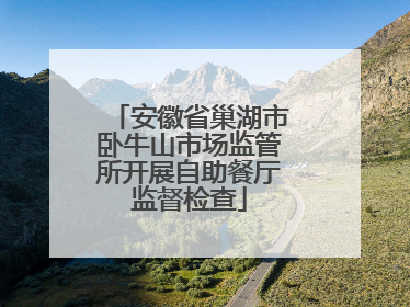 安徽省巢湖市卧牛山市场监管所开展自助餐厅监督检查