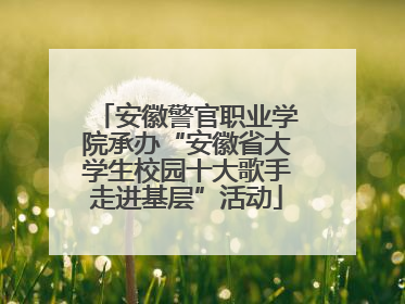 安徽警官职业学院承办“安徽省大学生校园十大歌手走进基层”活动