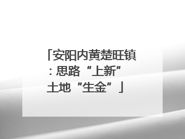 安阳内黄楚旺镇：思路“上新” 土地“生金”