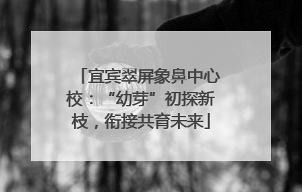 宜宾翠屏象鼻中心校：“幼芽”初探新枝，衔接共育未来