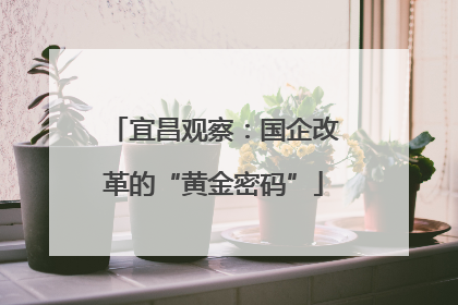 宜昌观察：国企改革的“黄金密码”