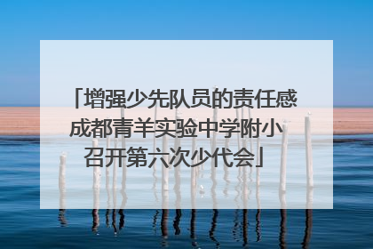 增强少先队员的责任感 成都青羊实验中学附小召开第六次少代会