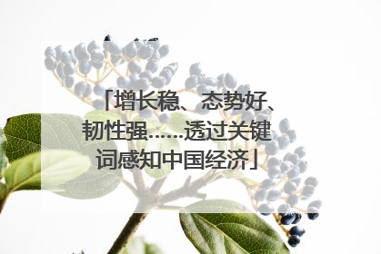 增长稳、态势好、韧性强……透过关键词感知中国经济