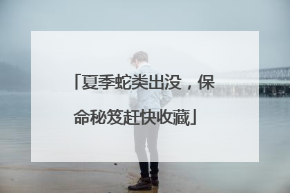 夏季蛇类出没，保命秘笈赶快收藏