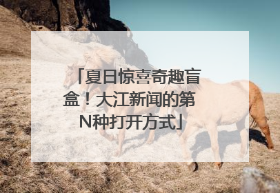 夏日惊喜奇趣盲盒！大江新闻的第N种打开方式