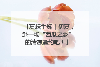 夏耘生辉｜初夏，赴一场“西瓜之乡”的清凉邀约吧！