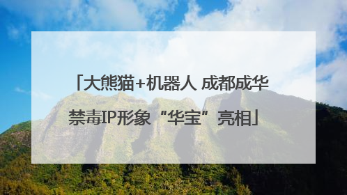 大熊猫+机器人 成都成华禁毒IP形象“华宝”亮相