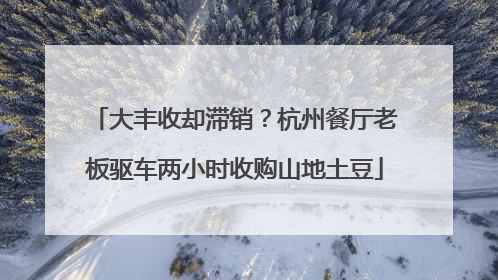 大丰收却滞销？杭州餐厅老板驱车两小时收购山地土豆