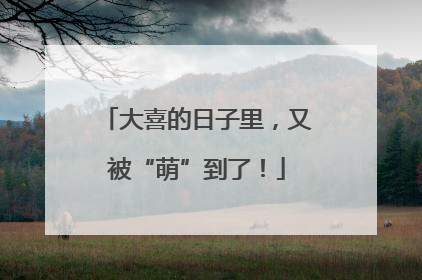 大喜的日子里，又被“萌”到了！