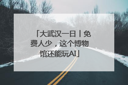 大武汉一日丨免费人少，这个博物馆还能玩AI