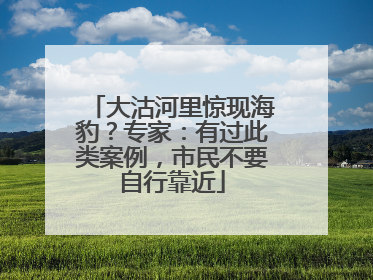 大沽河里惊现海豹？专家：有过此类案例，市民不要自行靠近