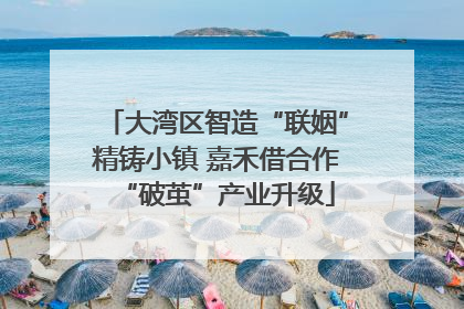 大湾区智造“联姻”精铸小镇 嘉禾借合作“破茧”产业升级