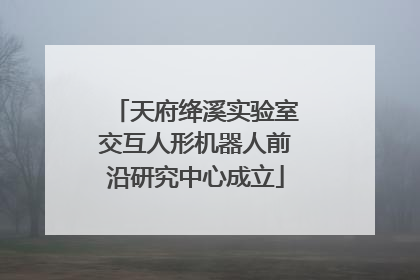 天府绛溪实验室交互人形机器人前沿研究中心成立