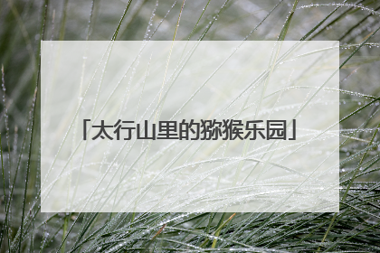 太行山里的猕猴乐园