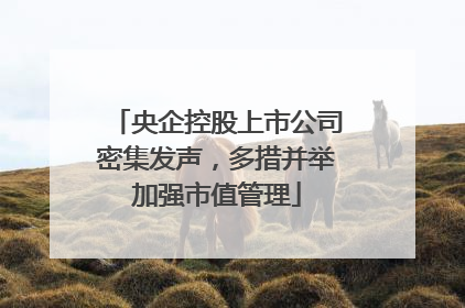 央企控股上市公司密集发声，多措并举加强市值管理