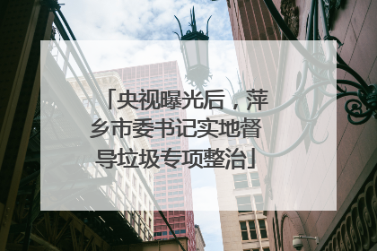 央视曝光后，萍乡市委书记实地督导垃圾专项整治