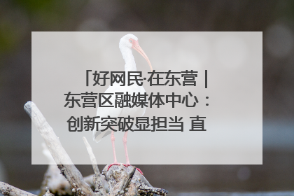 好网民·在东营｜东营区融媒体中心：创新突破显担当 直播赋能谱华章