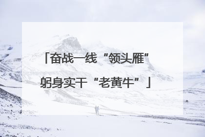 奋战一线“领头雁” 躬身实干“老黄牛”