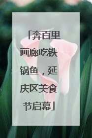 奔百里画廊吃铁锅鱼，延庆区美食节启幕