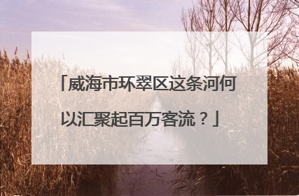 威海市环翠区这条河何以汇聚起百万客流?