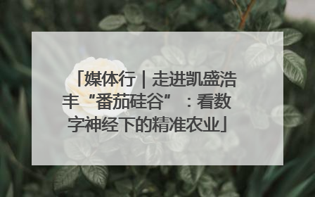 媒体行｜走进凯盛浩丰“番茄硅谷”：看数字神经下的精准农业