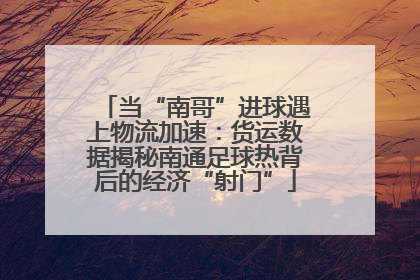 当“南哥”进球遇上物流加速：货运数据揭秘南通足球热背后的经济“射门”