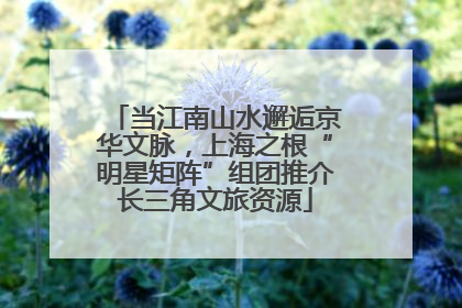 当江南山水邂逅京华文脉，上海之根“明星矩阵”组团推介长三角文旅资源