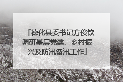 德化县委书记方俊钦调研基层党建、乡村振兴及防汛备汛工作