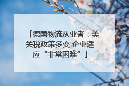 德国物流从业者：美关税政策多变 企业适应“非常困难”