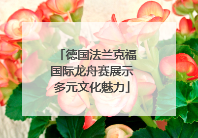 德国法兰克福国际龙舟赛展示多元文化魅力