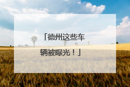 德州这些车辆被曝光！