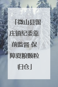 微山县留庄镇纪委靠前监督 保障夏粮颗粒归仓