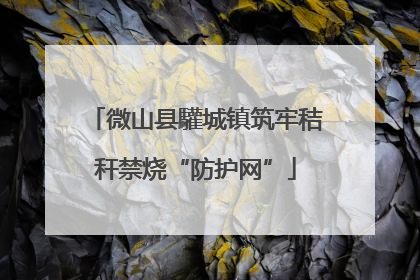 微山县驩城镇筑牢秸秆禁烧“防护网”