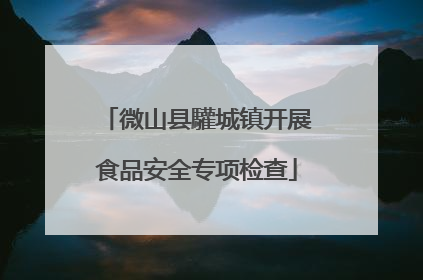 微山县驩城镇开展食品安全专项检查