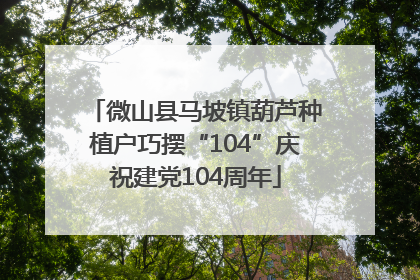 微山县马坡镇葫芦种植户巧摆“104”庆祝建党104周年