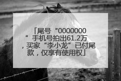 尾号“0000000”手机号拍出61.2万，买家“李小龙”已付尾款，仅享有使用权
