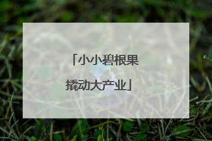 小小碧根果撬动大产业