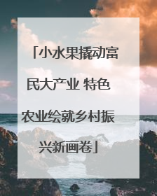 小水果撬动富民大产业 特色农业绘就乡村振兴新画卷