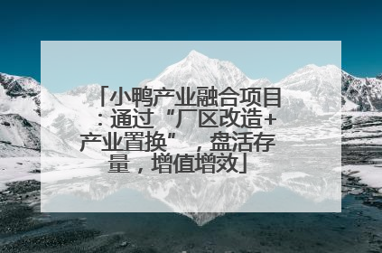 小鸭产业融合项目：通过“厂区改造+产业置换”，盘活存量，增值增效