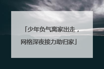 少年负气离家出走，网格深夜接力助归家