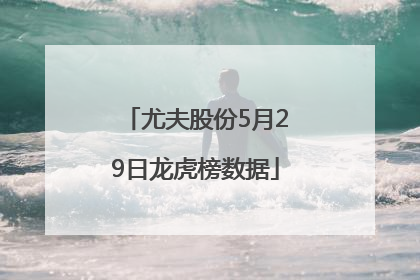 尤夫股份5月29日龙虎榜数据