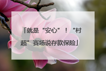 就是“安心”！“村超”赛场说存款保险