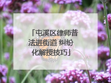 屯溪区律师普法进街道 纠纷化解授技巧