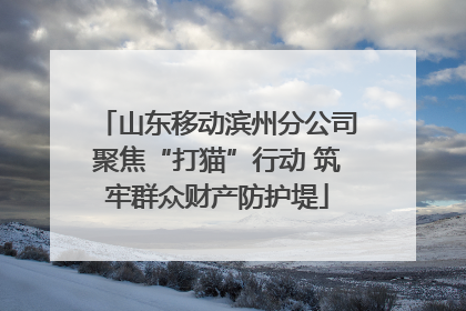 山东移动滨州分公司聚焦“打猫”行动 筑牢群众财产防护堤