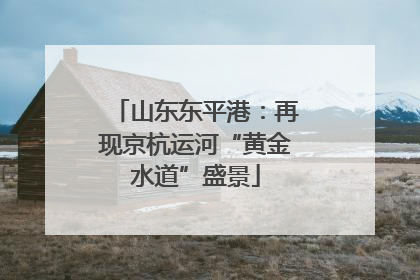 山东东平港：再现京杭运河“黄金水道”盛景