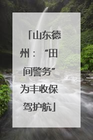山东德州：“田间警务”为丰收保驾护航