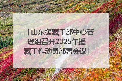 山东援藏干部中心管理组召开2025年援藏工作动员部署会议
