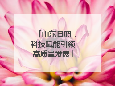 山东日照：科技赋能引领高质量发展